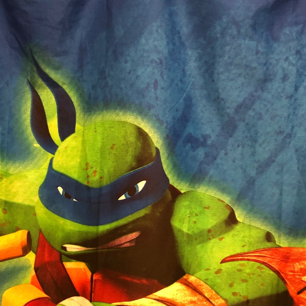 Teenage Mutant Ninja Turtles Leonardo Shower Curtain Panel - Blue & Green
